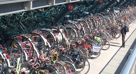 В Холандия детето се качва на колело, веднага щом може да стои на краката си