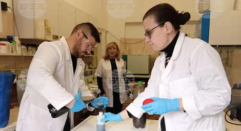 Снимка: БТА