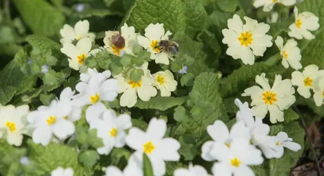 Предимно слънчево, с дневни температури между 22&deg; и 27&deg;