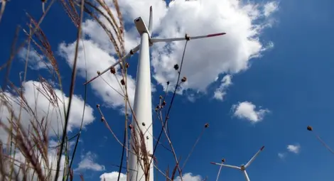 Синдикатите искат ясна позиция на държавата за зелената сделка на ЕС Синдикатите искат ясна позиция на държавата за зелената сделка на ЕС