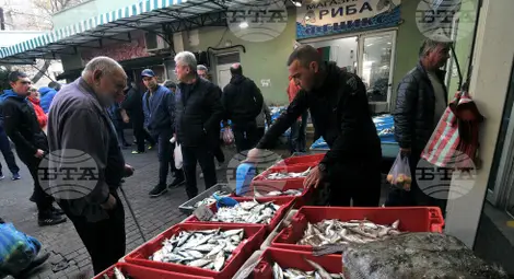 Снимка: БТА Снимка: БТА