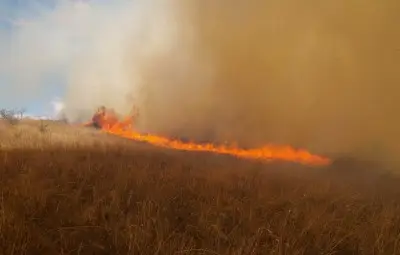 Военни стрелби запалиха пожар край Казанлък