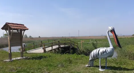 Паяк и дракон на модерния ковач Ивайло  превърнаха в хит студио за татуировки