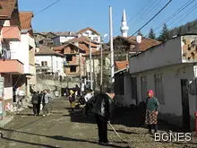 250 тона тютюн мухлясват в Осеново, растат само вересиите