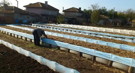 Въвеждат нови изисквания към фермите за охлюви и калифорнийски червеи Въвеждат нови изисквания към фермите за охлюви и калифорнийски червеи