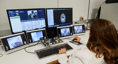 Мозъкът работи най-добре през есента