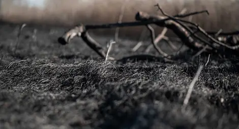 15 дка тръстика изгоряха в поредния опустошителен пожар в Дуранкулашкото езеро