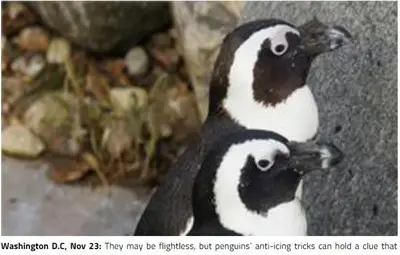 Пингвините може да помогнат за проблема с обледяването на самолети