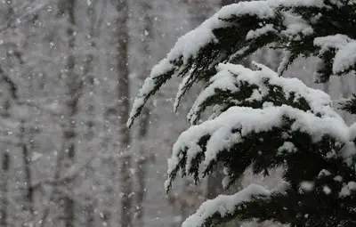 Температурите през януари падат до минус 18 градуса