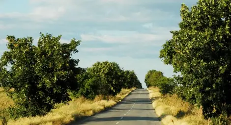 По селските пътища вече без винетка, по другите &ndash; с електронна