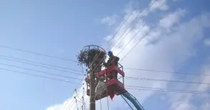 Енергото инсталира платформи за щъркели в община Ветово