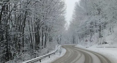 Всички пътища в Русенска област са проходими при зимни условия