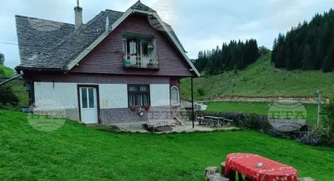 Фундата - земя между облаците: Селски къщи на 1360 метра надморска височина в Румъния пазят духа на отминали времена Фундата - земя между облаците: Селски къщи на 1360 метра надморска височина в Румъния пазят духа на отминали времена