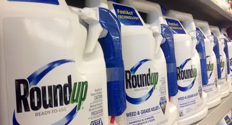 Най-масово употребяваните в България хербициди са канцерогенни