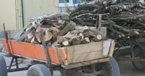 Горските конфискуваха  каруци и моторни триони