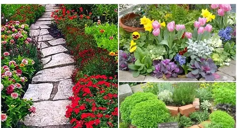 Какво трябва да направим в градината през есента?