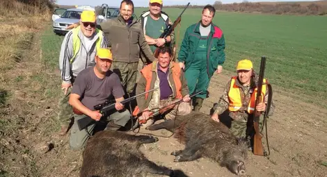 Ловната дружинка от Хотанца откри сезона с два глигана по 140 кг
