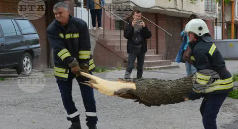 Снимка: БТА