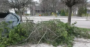 6 екипа продължават да се борят с купчините клони по улиците