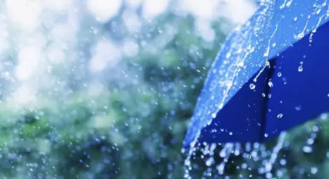 В следобедните часове отново ще превали и прегърми В следобедните часове отново ще превали и прегърми