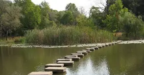 Избират Мис Златна липа на  фестивала „Сцена под липите“