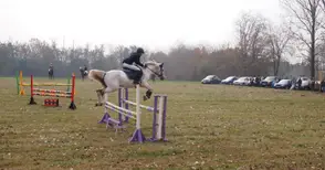 Турнир по конен спорт в  Сандрово за събора на селото