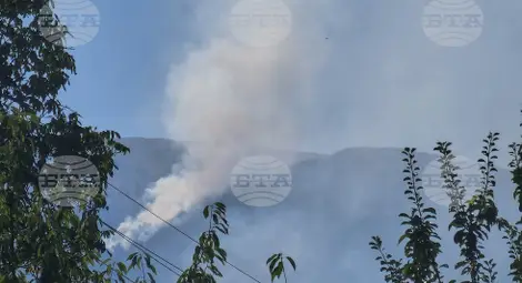 Снимка: БТА Снимка: БТА