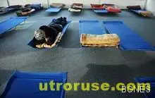 Добрият нощен сън предпазва сърцето