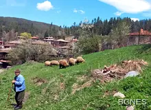 30 души в болница след курбан в добричко село