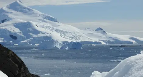 Коронавирусът стигна и до Антарктида