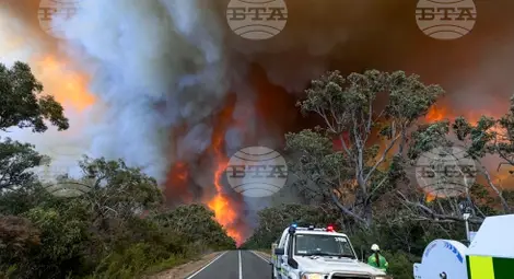 Снимка: БТА