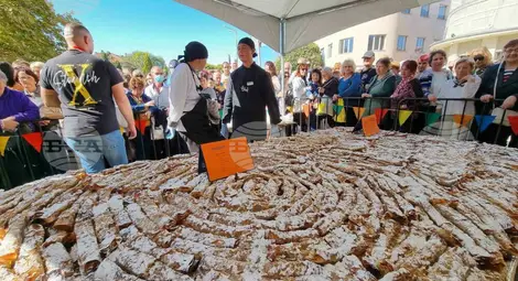 Тиквеникът с дължина 350 метра. Снимка: Радослав Първанов, БТА