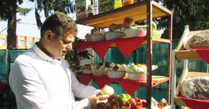 С 27 сорта ябълки се похвалиха овощари в Екзарх Йосиф