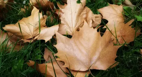 Облачно и ветровито в неделя