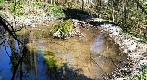 АПИ: Полагат се усилия до петък вечер да бъде възстановено движението по път II-86 Асеновград &ndash; Смолян