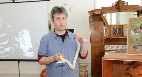 Между Снежко, Алби, Пенчо и Гошо избират име на змията-посланик