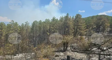 Снимка: БТА Снимка: БТА