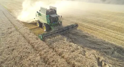 Фонд &bdquo;Земеделие&ldquo; преведе още 77,1 милиона лева плащания за обработваема площ