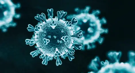 270 са новите случаи на коронавирус у нас, отново 8 са починали за последните 24 часа