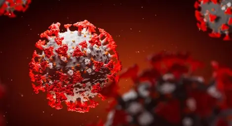 Ковид ефект - с 21% повече починали в областта през първото тримесечие