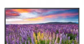 „Нетуоркс“ пуска още пет 4К HD канала