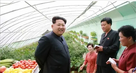 Всяко листо маруля за салатата на Ким Чен Ун &ndash; под микроскоп