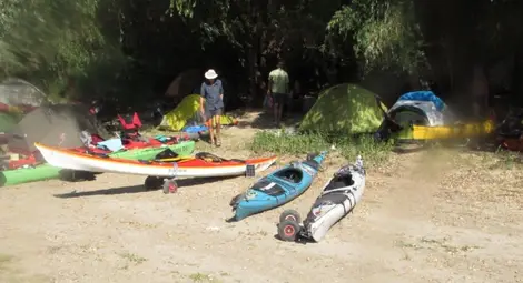 Ветеран от Варна за 47-ми път гребе по Дунав с традиционната лятна регата