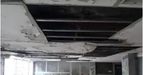 Д-р Росица Кръстева търси отговори от кмета за ремонта на подлеза до Централна гара