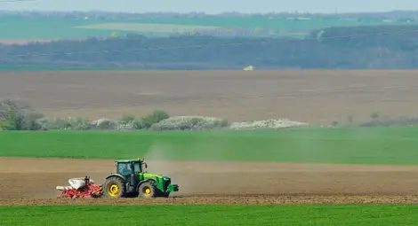 Рентите в Борово с 15 на сто надолу