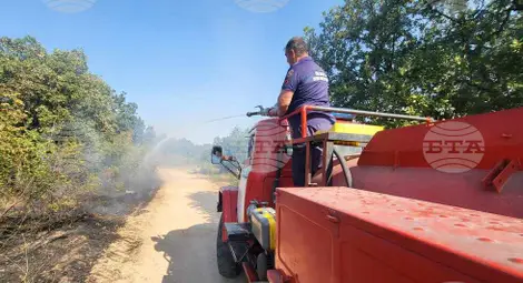 Снимка: БТА