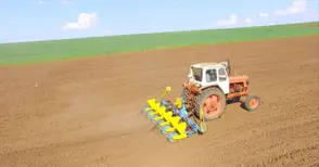 Засяха над 550 хиляди дка  пролетници в Русенско