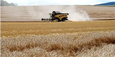 Цените на зърното продължават да вървят надолу на световните борсови пазари