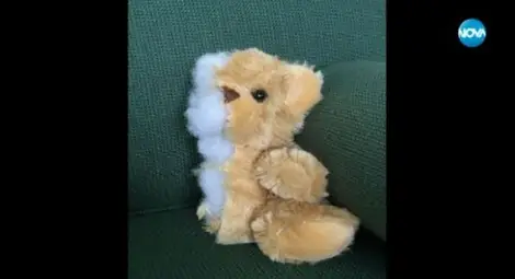 Мъж съвсем буквално раздели на две всичко с бившата /видео/ Мъж съвсем буквално раздели на две всичко с бившата /видео/