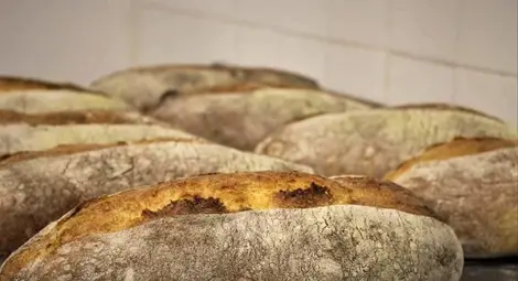 Просто хляб. Просто хляб ли?!